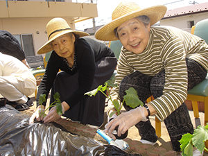 園芸活動