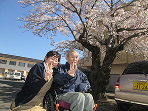 お花見